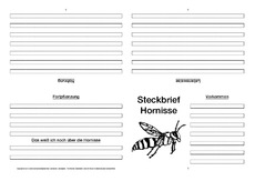 Hornisse-Faltbuch-vierseitig.pdf